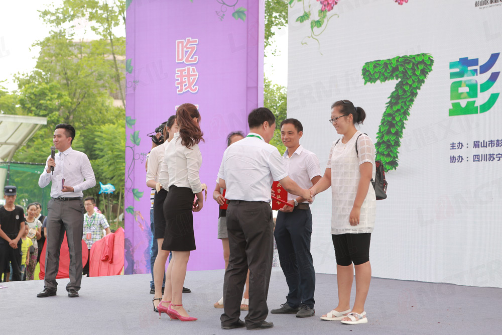 彭山葡萄節(jié)活動(dòng)策劃_葡萄節(jié)活動(dòng)_城市節(jié)日活動(dòng)策劃_地方特色活動(dòng)策劃