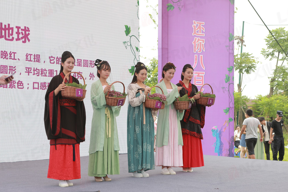 彭山葡萄節(jié)活動(dòng)策劃_葡萄節(jié)活動(dòng)_城市節(jié)日活動(dòng)策劃_地方特色活動(dòng)策劃
