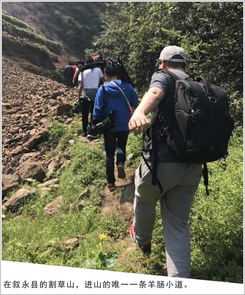 忙，忙，忙并快樂著：龍騰文化四部影視大片齊開機(jī)！