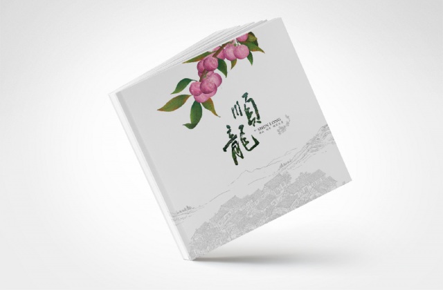 順龍城市形象畫(huà)冊(cè)