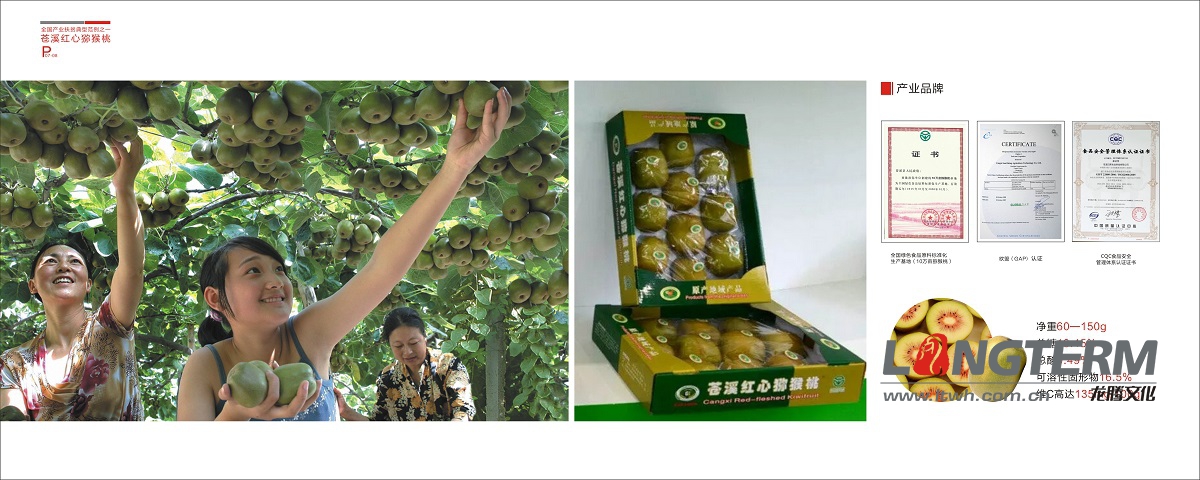 蒼溪縣農(nóng)業(yè)局扶貧畫冊(cè)