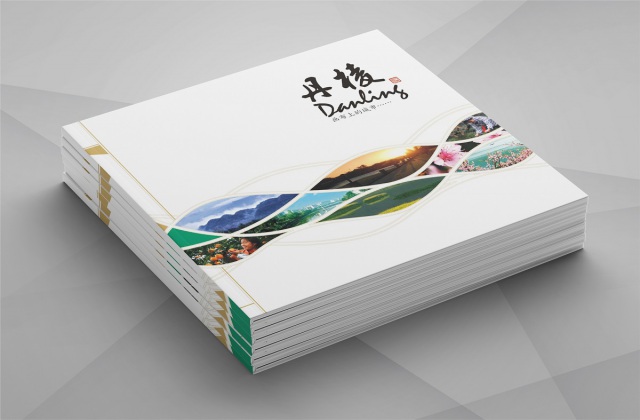 丹棱縣城市形象宣傳畫(huà)冊(cè)設(shè)計(jì)