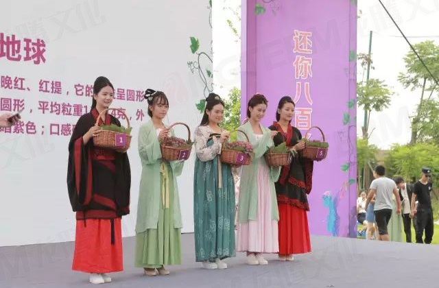 繽紛葡萄節(jié)，打響彭山旅游第一炮！