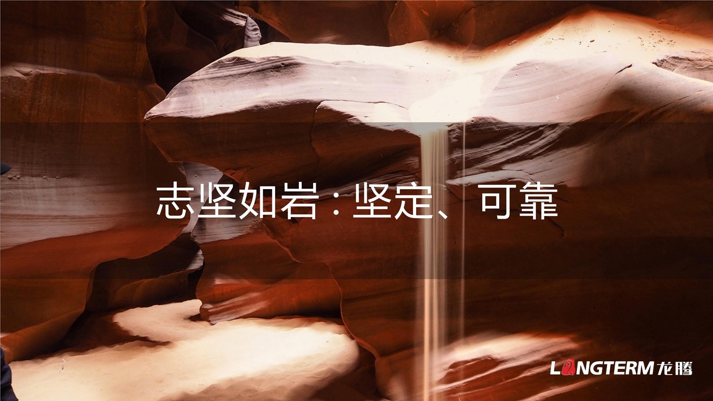 四川海巖聲學科技有限公司LOGO設計方案及全套視覺設計方案
