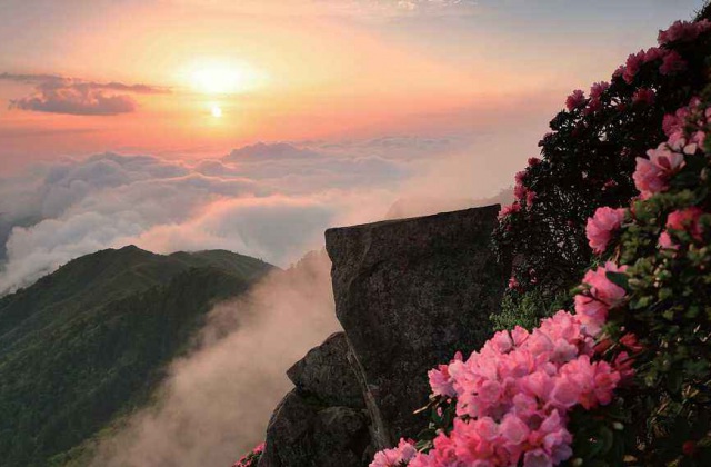 中國(guó)光霧山-諾水河世界地質(zhì)公園科普系列宣傳片拍攝制作內(nèi)容詳情