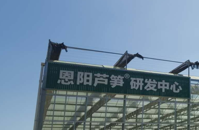 四川龍騰文化就“恩陽蘆筍”項(xiàng)目進(jìn)行踩點(diǎn)
