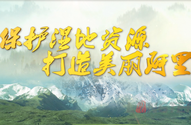 阿里濕地保護宣傳片-