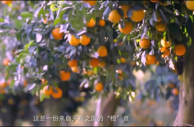 公司的宣傳片怎么寫腳本？企業(yè)宣傳片腳本的寫作思路