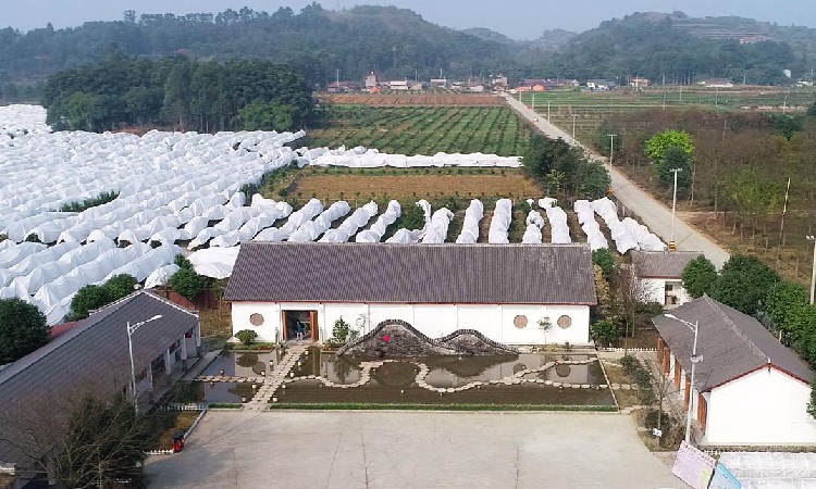 德陽(yáng)鄉(xiāng)村旅游民宿宣傳片制作過(guò)程是什么？